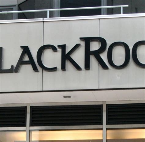 blackrock vermögensverwaltung